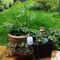Milk Carton Garden