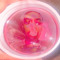 ZaddyZoeyy