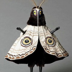 Dayman - Lord Q qover