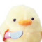 병아리🐣