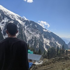 honeybaba