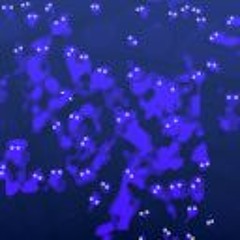 13 gnomes sitting around your bedside