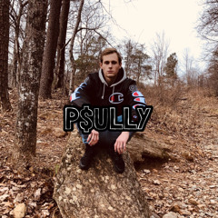 P$ULLY