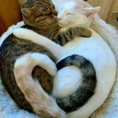 صالح الكنزى