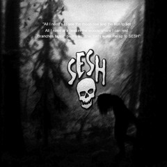 DANin4SESH