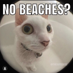Aint_No_Bitch_Frosty