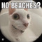 Aint_No_Bitch_Frosty