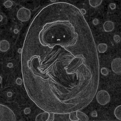 EggsBOY