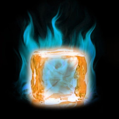 Burning ICE