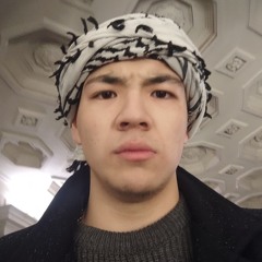 إلدينيز انتقادات لقيرغيزستان