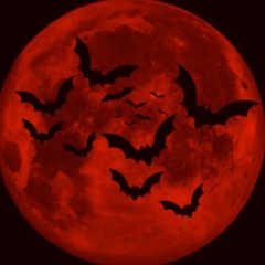 zivxxerenity @xxXteppTeamK