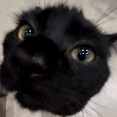 Asrora