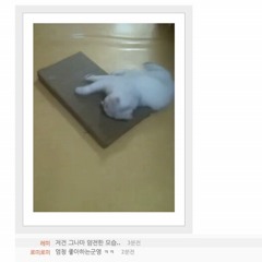 Listening Music. my Headphones