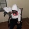 lil o lover