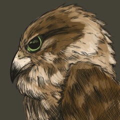 Project FORGE - Forest Theme