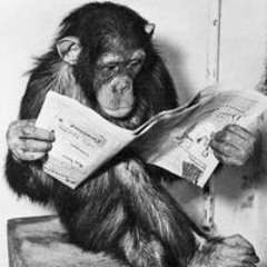 Jack Downes Mortimore