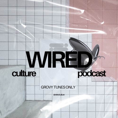 Wired Culture’s avatar