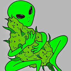 nzk