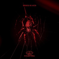 Spider - Spellcaster