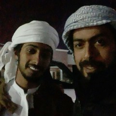 ٦
