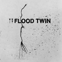 Flood Twin