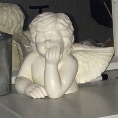 A Wonderland State Of Mind