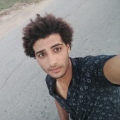 Elsayed Elmeniway