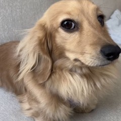 #КорольФинансов