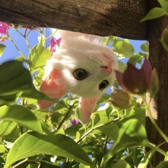 helllty