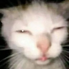 TheJustJack45
