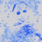 frostgod