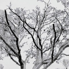 Upland, by Elliot H.W.B