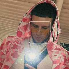 robmaraioo