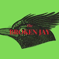 TheBrokenJay