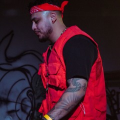 LIGHTFLEX