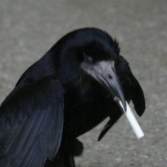 flanmi