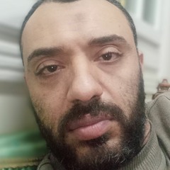 تامر حامد شلبي شلبي