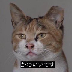 dj_neruyo