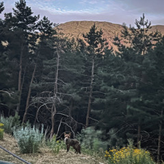 Leyre Martínez Baso