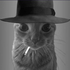 nuke cat