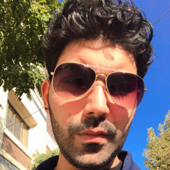 shahin.ip