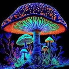 Mashroom DNA