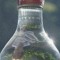 vodkasingas - mixes