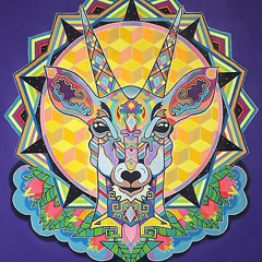 Antelope Zen