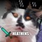 SiffSiffy