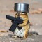 ChipMunkFromFL