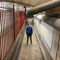 thibault locquet
