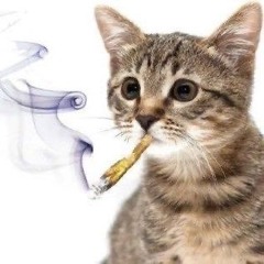 3weel