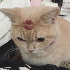 moonfire UwU