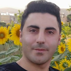 Shafaei